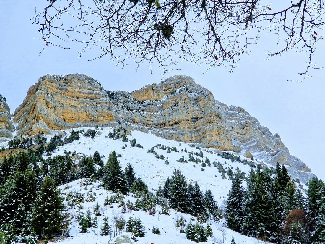 Snow Trekking in Chartreuse, France